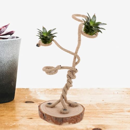 Soporte para plantas de aire accesorio resistente y versátil de mesa 6