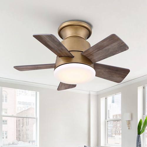 Vaczon 24" Mini Flush Mount Ceiling Fan with Light & Remote