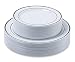 Disposable Plastic Plates - 120 Pack - 60 x 10.25" Dinner and 60 x 7.5" Salad Combo - Silver Trim Real China Design - Premium Heavy Duty - By Aya's Cutlery Kingdom