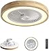 Smart Ventilateur De Plafond Avec Télécommande D'éclairage, Plafonnier LED Dimmable, Moderne Silencieux De Lumiere Avec Lampe, Plafonnier 36W Salon Chambre Salle À Manger, Ceiling De Fan