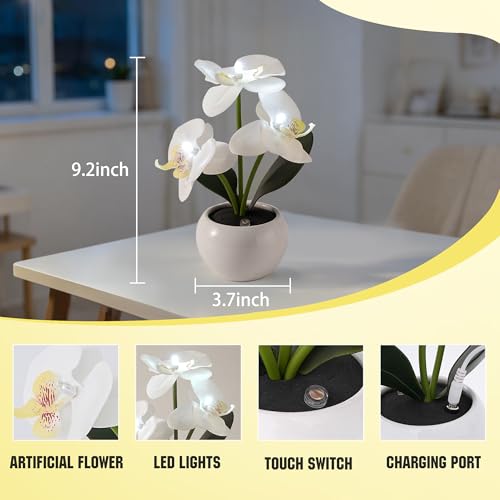 Image of White Artificial Orchid Lamp, Cordless Touch Control Floral Night Light, Valentine's Mothers Day Wedding Birthday Gift for Mom Wife Friends, Floral Table Light for Bedroom Indoor Home Ornament