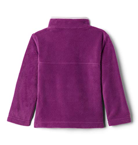 Columbia Kids' Steens MTN 1/4 Snap Fleece Pull-Over4