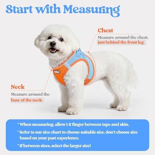 Image of rabbitgoo Dog Harness Medium Sized and Leash Set, Step-in Puppy Pet Vest