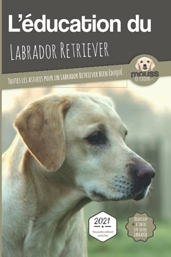 L'ÉDUCATION DU LABRADOR RETRIEVER - Edition 2021 enrichie: Toutes les astuces pour un Labrador Retriever bien éduqué