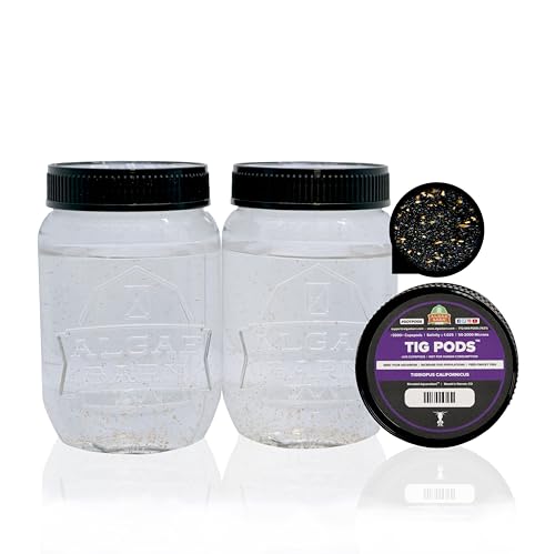 AlgaeBarn Live Copepods :: Tigriopus californicus...