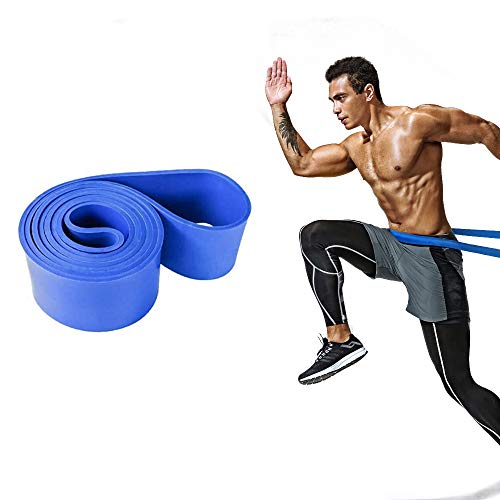 Pull up Assistance Band - Heavy Duty Workout Band Long Resistance Band for Legs Stretching,Pull- ups,Powerlifting (Blue,65-175 LBS)