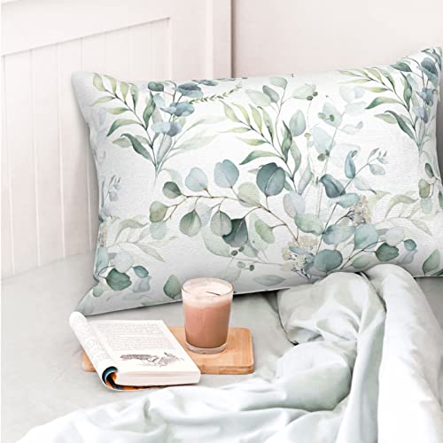 Aeioae Spring Sage Green Pillow Covers 12X20 Inch Set Of 2,Watercolor Eucalyptus Floral Throw Pillows Case,Seafoam Leaves Print Decorative Square Cushion Covers Outdoor Leaf Decor For Home Sofa Bed #TOP1