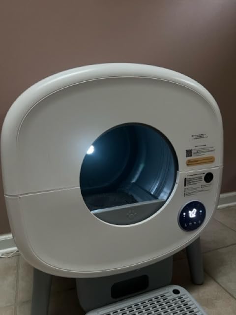 litter box