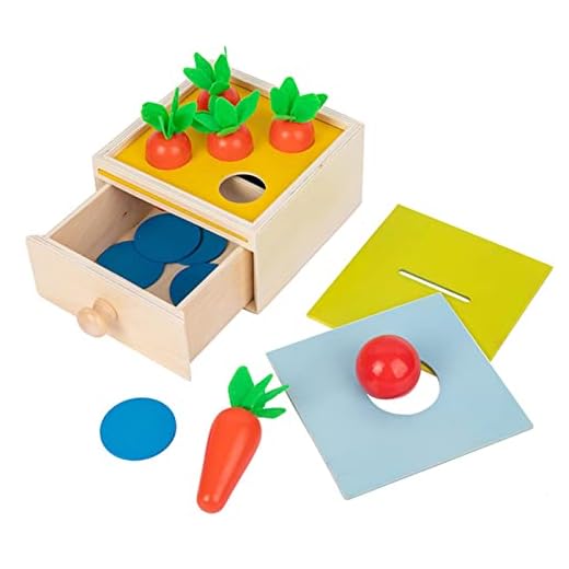 Morot Montessori pedagogiska leksaker | Träleksaker för 1-åringar,Formsortering av leksaker Presenter för barn 1-3 år, förskoleleksaker i trä, leksakslådor för flickor, småbarnsleksaker Mryh