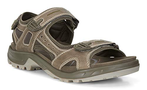 Image of ECCO, Men's Yucatan Outdoor Sandal, Sage, 12-12.5 Medium US