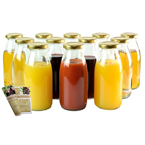 gouveo Lot de 12 Bouteilles en Verre vides de 250 ML pour jus, avec Capsule Argent à Visser Cover