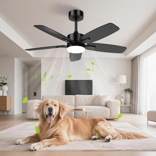 Reviews de Ventiladores de techo que puedes comprar esta semana. 44 Airwit Ventilador de Techo de 107cm con Luz con Control Remoto, Ventilador-Luz Negro Moderno DC Reversible con 3CCT, 6 Velocidades para Habitaciones Pequeñas, Dormitorio, Sala de...