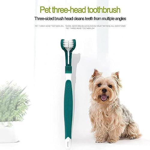 Image of BWESOO Green Dog Toothbrush, Triple Headed Toothbrush Dog for Pet