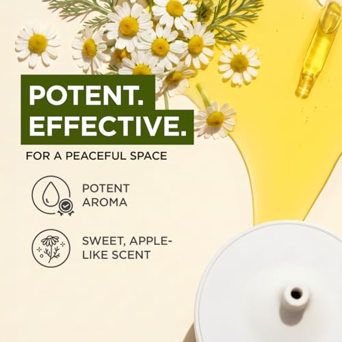 Image of 100% Pure Roman Chamomile Essential Oil for Skin & Diffuser - 4 Fl Oz | Roman Chamomile Oil for Massage & Relaxation, Soft Floral Aroma for Calm Nights, Aromatherapy Grade Oil - Gya Labs
