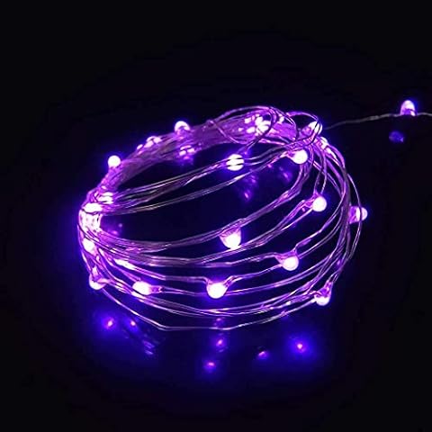 Everfit Lighting 2 Pack Battery Operated Mini Led Lights,Indoor Fairy Lights with Timer 6 Hours on/18 Hours Off for Christmas Party Decorations,30 Count LEDs,10 Feet Silver Wire (Purple Color) Cover