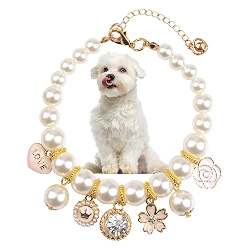 Collier de perles pour chat et chien idéal pour les fêtes de famille en taille L