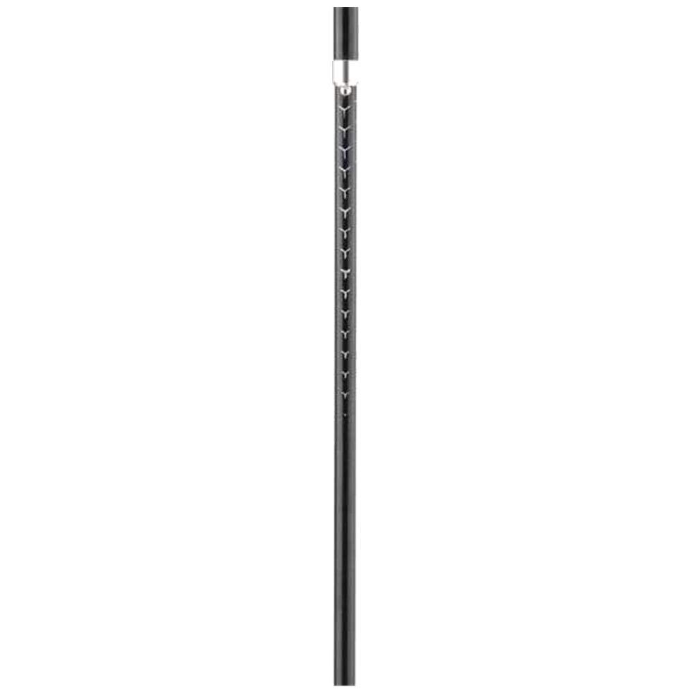 Ferrino Stick Spantik (Pair), Bastone da Trekking Campeggio ed Escursionismo Unisex Adulto