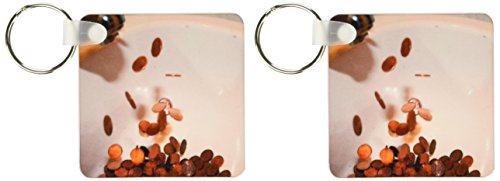 3dRose Un fregadero de cocina de porcelana blanca con centavos de cobre que parecen estar saliendo del grifo, llavero, 6 cm, varía