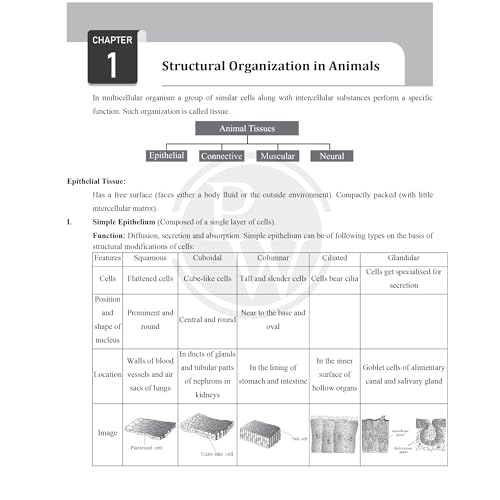 Image of (Old Edition) PW CBSE Class 11 Formula Handbook For 2026 Exams | Chapterwise Key Formulas | Physics, Chemistry, Biology and Mathematics | Conceptual Summaries & Quick Revision Notes