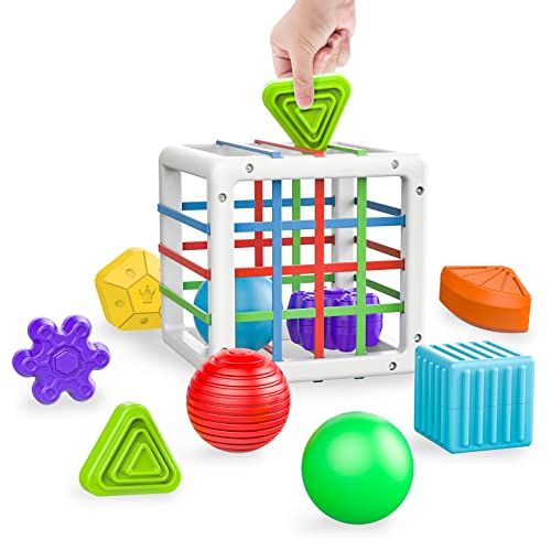 Montessori Toys for 1 2 Year Old Boy Girl,Baby Sorter Toy Colorful Cube and 8 Pcs Multi Sensory Shape, Learning Sensory Bin for 1 2 Year Old ,Toys for 1-2 Year Old,Gifts for 10 Month and Up