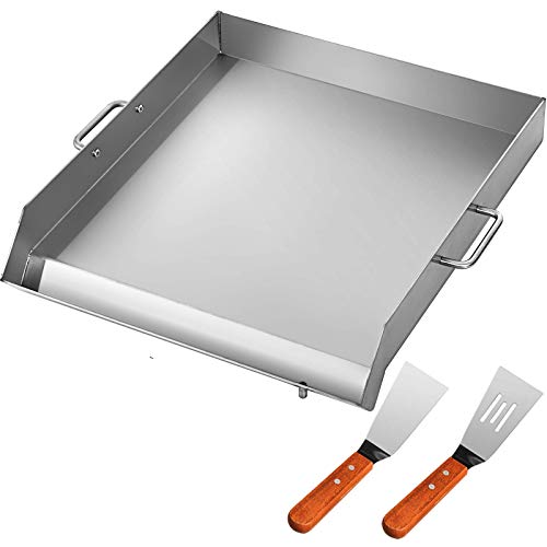 AMDBRAIL Grillplatte Edelstahl - 54x41x8cm Grillplatte Für Gas & Holzkohle Mit Zubehör