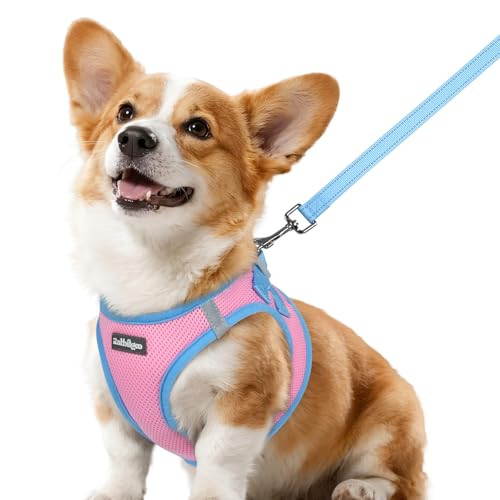 Rabbitgoo Step-In Harness & Leash Set (Pink & Light Blue, Small)