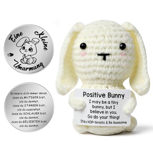 Aolso Lustige Positive Kaninchen, Pocket Hug Langohrkaninchen, Kreative Gestrickte Kaninchenpuppe, Niedlich Kuscheltier, Viel Glück Geschenke, Motivationsgeschenke, Glücksbringer für Prüfunge