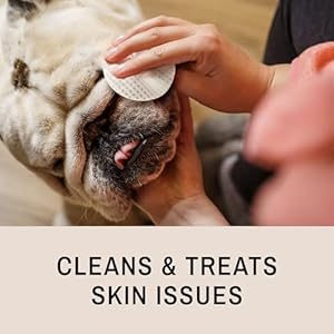 Eye Envy Bulldog Wrinkle Cleaner & Nose Care Kit | Bulldog Wrinkle Wipes, Tear Stain Powder, Applicator Brush & Dog Nose Balm | Cleans Skin Folds | Removes Stains | Helps Cracked Noses
