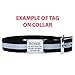 GoTags Pet ID Slide-On Personalized Dog & Cat Tags. Silent, No Noise Collar Tags made of Stainless Steel. Custom Engraved. Includes up to 4 Lines of Personalized Text., Large