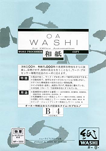 Papier japonais B4 authentique importé du Japon feuille Ishikawa à grain naturel