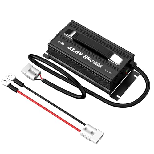 LiTime 43.8V 18A Lithium Battery Charger for 38.4V LiFePO4 Battery, AC-DC Smart Charger with 50A Anderson Connector, LED Indicator, Multiple Safety Protection for Golf Cart, RV, Boat and Home