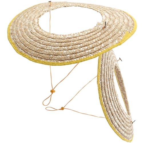 SEWACC 2 hN?X n[hnbgp tuoCU[ ʋCQ y ϋv ėp 悯V[h ݍ K[fjO TCN