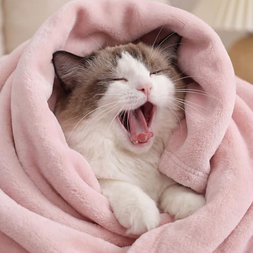 Image of Bedsure GentleSoft Pink Throw Blanket for Couch - 300GSM Soft Cozy Fleece Blankets for Home Decor Gifts, 50x60 Inches