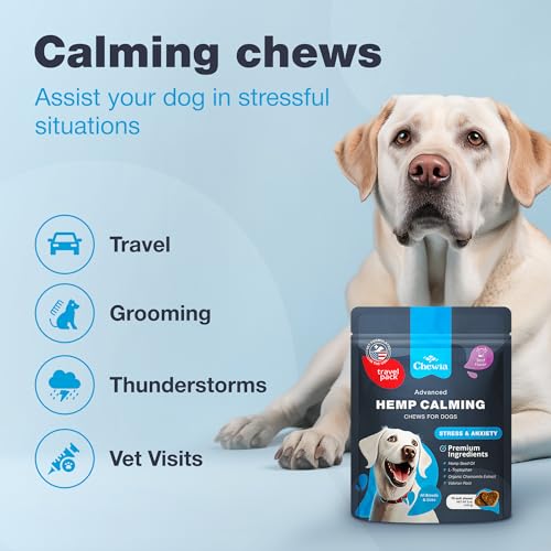 Image of Calming Hemp Treats for Thunderstorms, Fireworks, Separation, & Travelling - Travel Pack of Calming Soft Chews - Dog Anxiety Support
