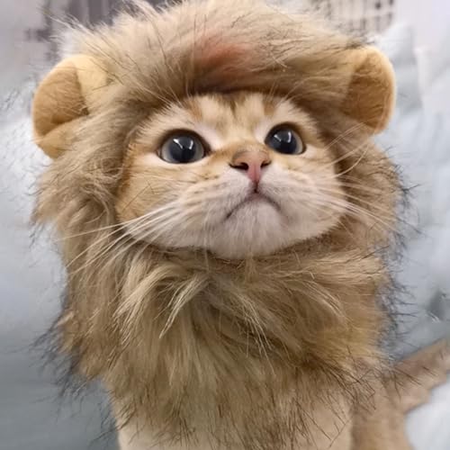 Lista de Disfraz de gato disponible en línea para comprar. 30 Imagen adicional