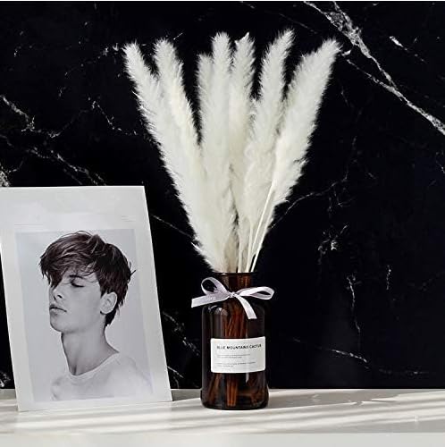 10 Pieces White Pampas Sticks for Decor Natural Grass Bundle Farmhouse Artificial Flowers Arrangement for DIY Wedding Table Home Centerpieces Party Decorative (17 Inch) (10 pcs)-image-16