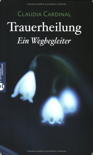 Trauerheilung: Ein Wegbegleiter (Patmos Paperback)