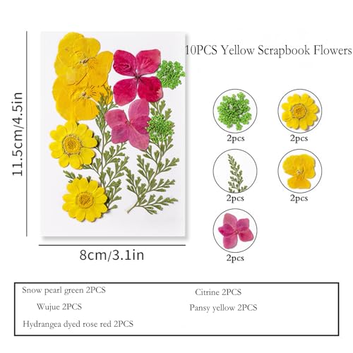 40 flores secas prensadas para resina y manualidades miniatura 6