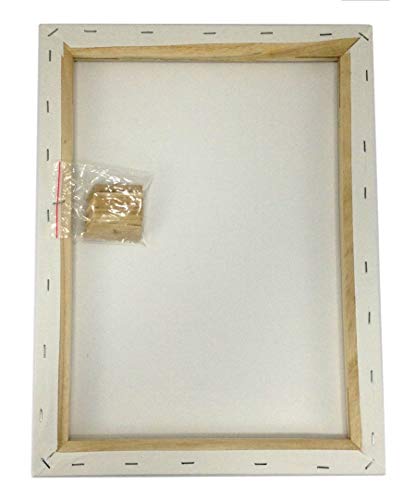 Lot 2 Artist Canvas 12X16" Blank Pre-Stretched Framed Cotton Double Gesso #TOP3