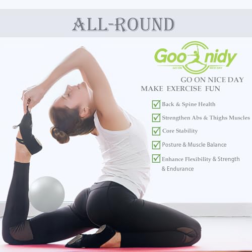 Image of PL-0003 Soft Exercise Ball, Anti-Burst Yoga Ball Chair Supports 2200lbs PL-0003