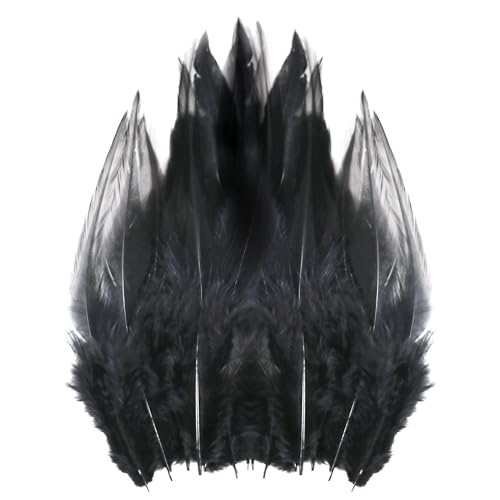 Lot de 250 plumes de coq noires de 10 à 15 cm pour loisirs créatifs, plumes de cou de faisan naturelles, boucles d'oreilles, attrape-rêves