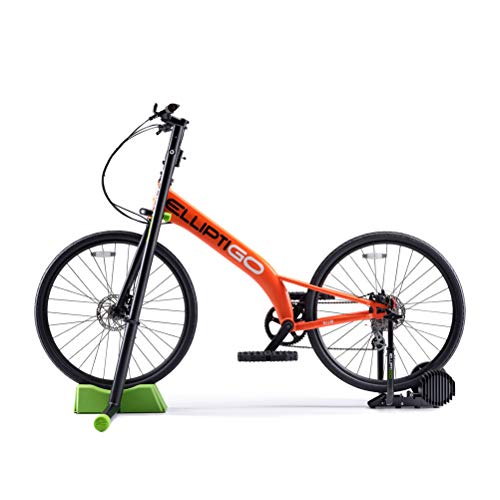 elliptigo stationary trainer