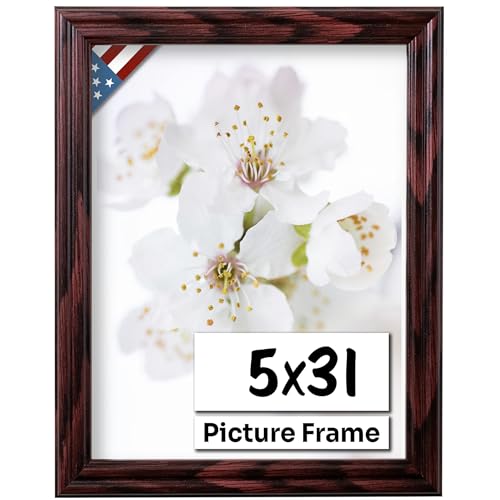 Cherry 5x31 Picture Frame .75" Inch Wide - Cherry Wall Decor Handmade Solid Wood Frames with Preinstalled Hangers and UV Blocking Plexiglass 31x5 Frame
