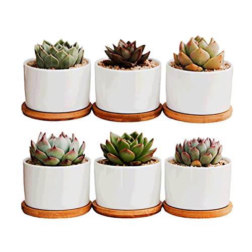 6Pcs 3.5 Inch Small Succulent Pots Ceramic Succulent Planters Set...