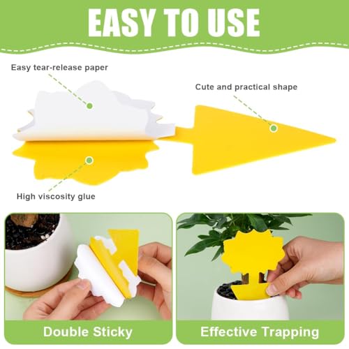 Flintronic Fruit Fly Traps,66 Pack Yellow Double-sided Fungus Gnat Sticky Catcher, Double-Sided Fly Catchers - Image 3