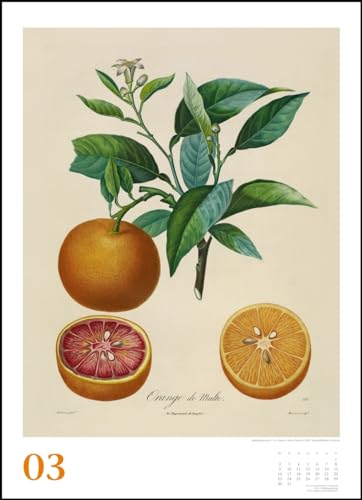 Pierre Antoine Poiteau: Alte Obstsorten 2020