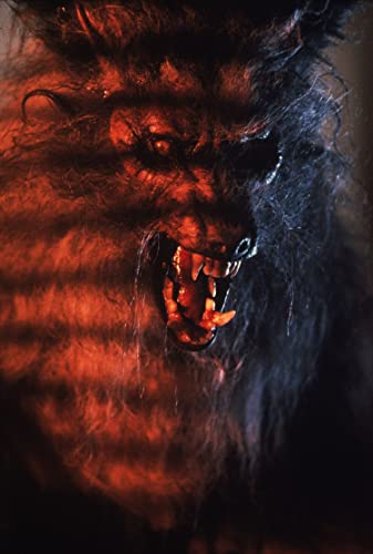 The Howling – Das Tier – 4K Blu-ray (UHD + Blu-ray Disc)