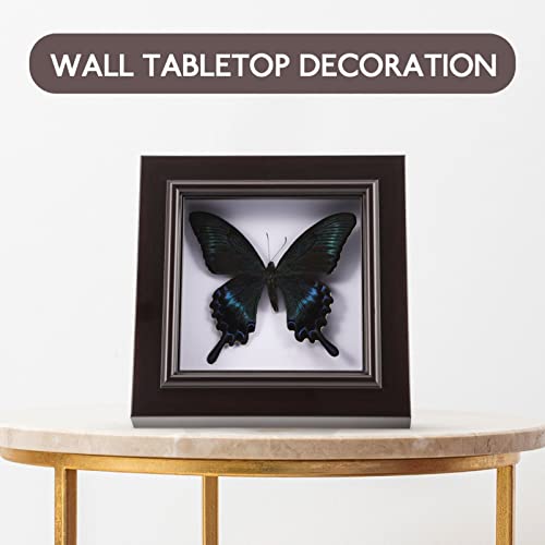 Housoutil Butterfly Shadow Box, Butterfly Specimens in Shadow Box - Image 2