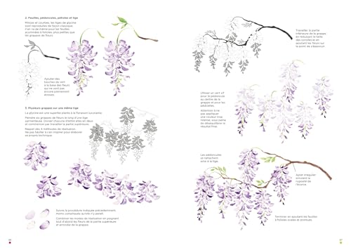 Leçons d'aquarelle japonaise - Techniques pour peindre fleurs et plantes – vue 8