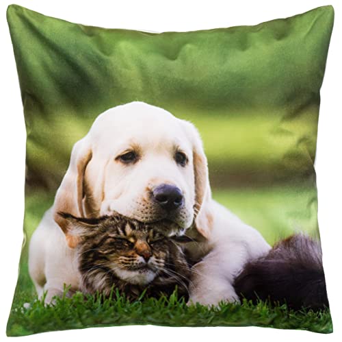 Brandsseller Dekokissen Zierkissen mit Tiermotiv - 40 x 40 cm - Golden Retriever Welpe und Katze